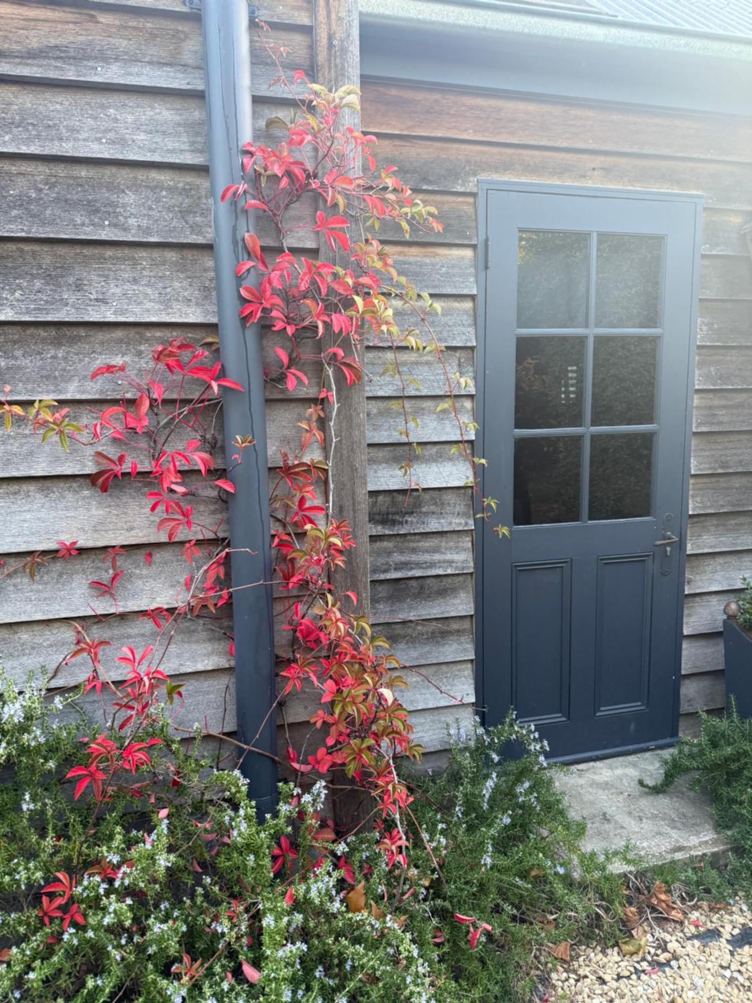 Elm Cottage Barn Oatlands Eksteriør billede